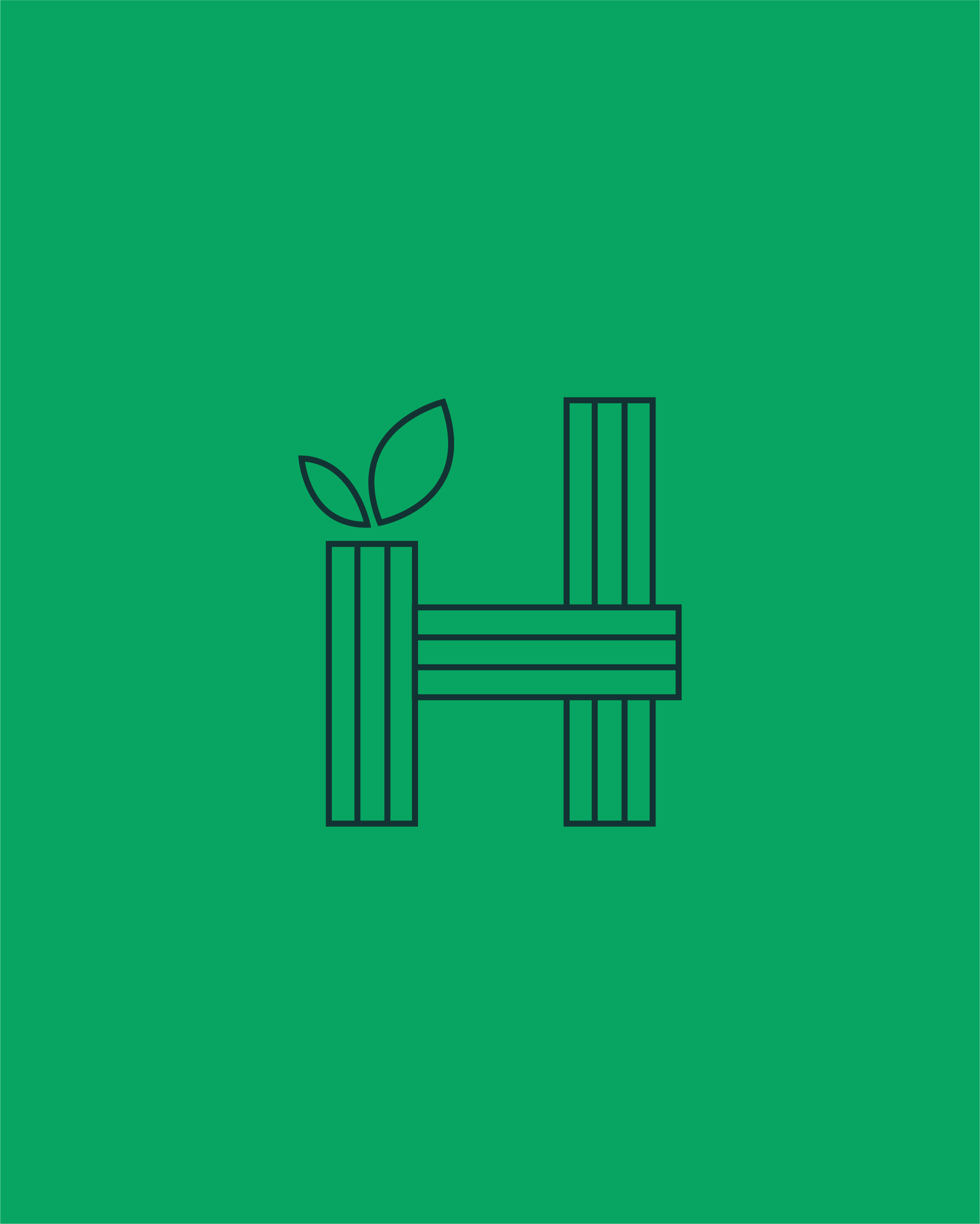 Logotype fond vert