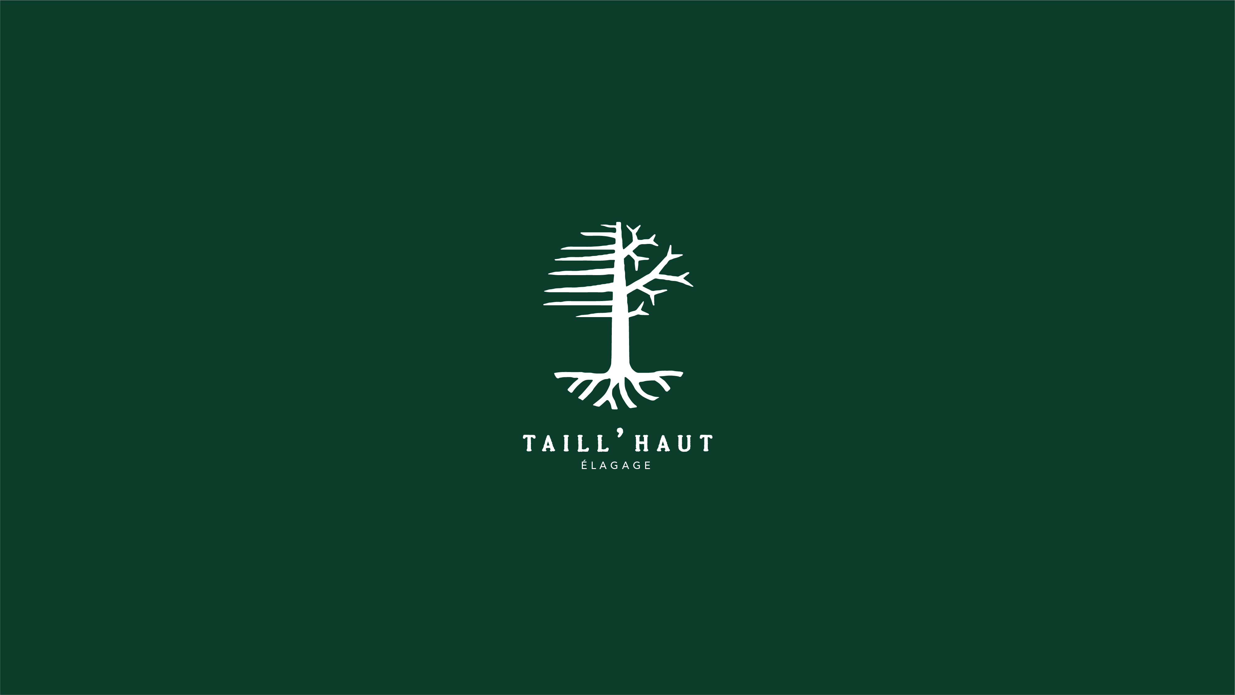 Logotype Taill'Haut